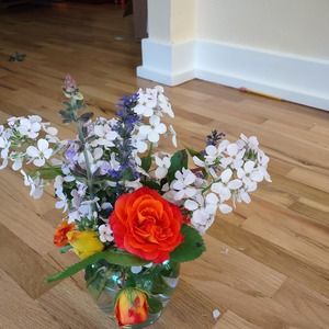 Meet your Posher, Sara